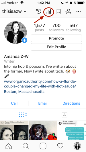 Instagram profile insights feature